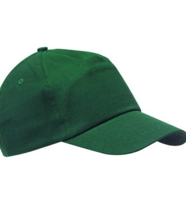 620950 - verde foresta